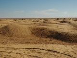 Tn  DSC0173